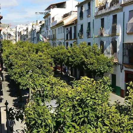 Casa Del Portillo-centro Historico Holiday home